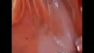 عذراء متجرد المقيد