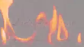 نيك صوفي دي مع زنجي