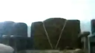 مارتا جنس خلفي