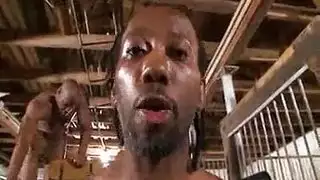 بيوت دعارة بناني وسكس