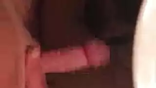 مثلي الجنس الأسود ذكر نائب الرئيس غارق