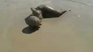 ينكها في المغسلة