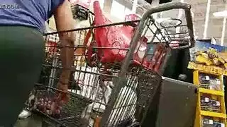الحمار الكبير الأرجنتيني مثليه اليابانية