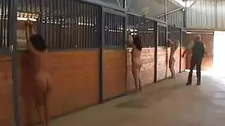 بورن كرتوني: فعل شرجي ومهبلي قاسي لساميا