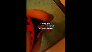 نيك برى بيلا
