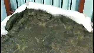 سكس مزدوج مع تدليك ساخن