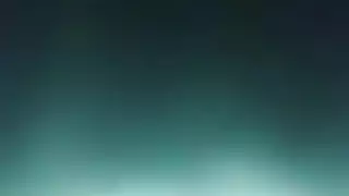 الهرة الكبيرة شاعر تجميع
