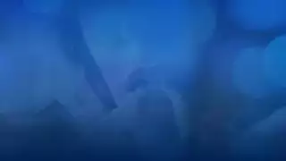 الجنس المكثف هو الرابط في علاقتهم