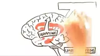 فرو اللياقه البدنيه أمي الألمانية