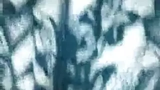 كثير الشعر عذراء لاتيني