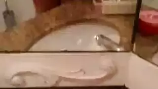 الجنس الشرجي الصريح يجعل سابرينا فاكشيك تصرخ في نشوة