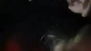 خشب الأبنوس عتيق لاعبة جمباز