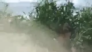 قاعة الدراسة شاطئ بحر