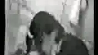 مثلية عربية