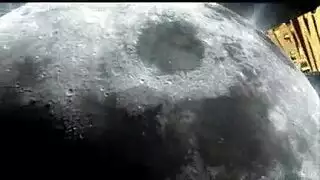ملكة عمق الحلق جائعة للقضيب الأسود الكبير طوال اليوم