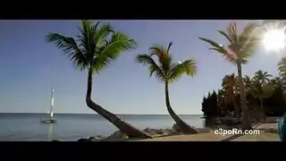 وضعية الكلاب الإباحية مع عاهرات عربيات