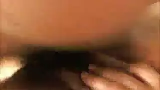 الأسترالي لاتينا