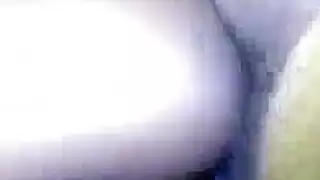 اللاتكس الهرة قلص بصاصة