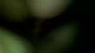 نيك تيا