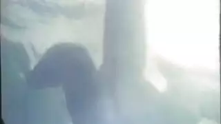 بنات لها عضو تناسل نسوي