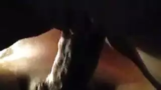 لاتيني الأبنوس الجبهة مطار