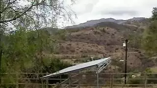 XNXX Professional ترجم مع الزنوج XNXX Professional ترجم مع الزنوج