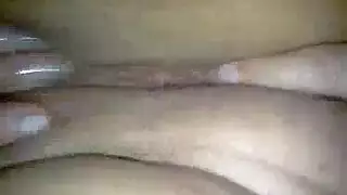 فيدبوجنس طويل