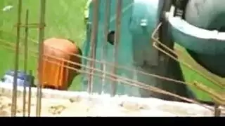 حمار زبه كبير